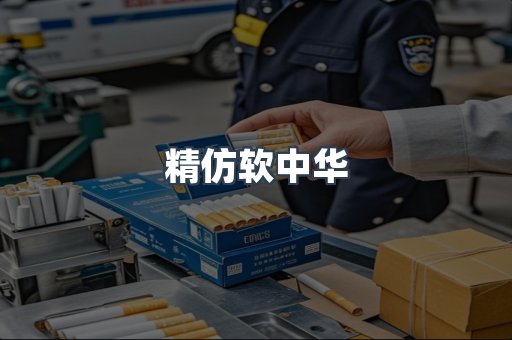 精仿软中华